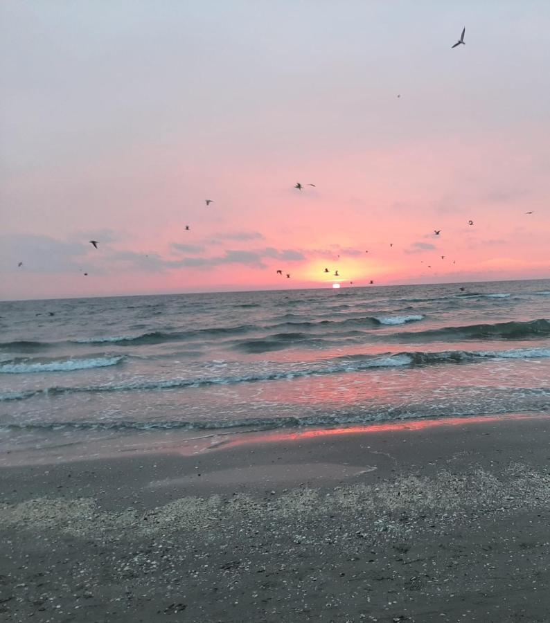 Sea North Apartament Mamaia Dış mekan fotoğraf